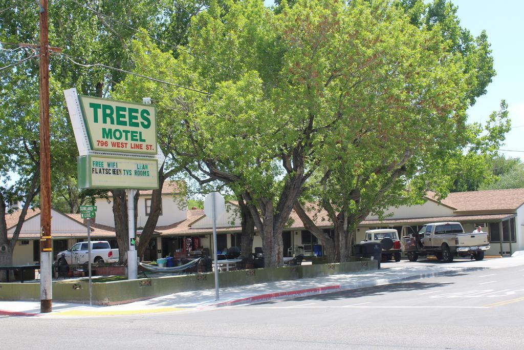 Trees Motel Bishop Exterior foto